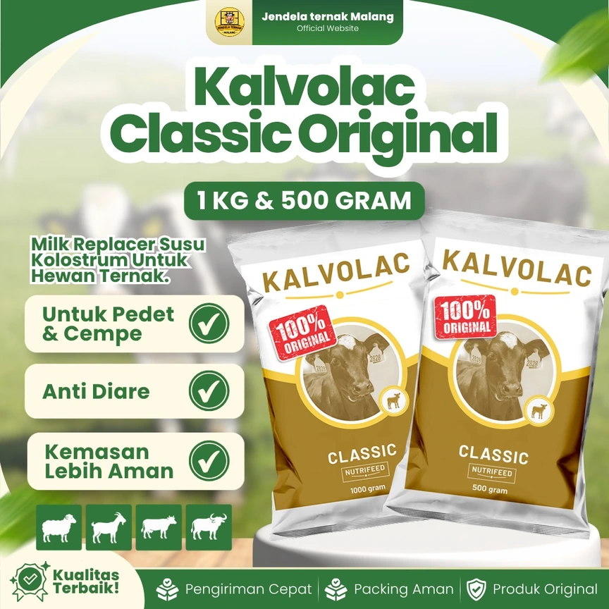 Kalvolac Classic Original