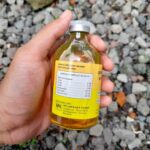 USFA B COMPLEX INJ 100 ML- Mencegah Defisiensi Dan Gangguan Hewan Ternak Like B PLEK.