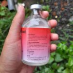 DEXAMETHASONE 100 ML BY PANTEX HOLLAND - Anti Radang & Alergi Pada Hewan Ternak