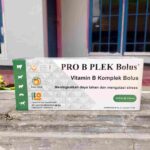 PRO B PLEX 50 BOLUS (1 BOX) - Vitamin B Komplek Untuk Hewan