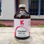 OXYKEL 20 LA 100 ML - AB Pencernaan Dan Pernafasan Like Medoxy, Vetoxy, Limoxin.