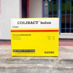 COLIBACT BOLUS ECER - Untuk Diare Hewan Sapi, Kuda, Domba, Babi Dan Lainnya.