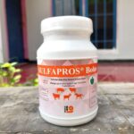 SULFAPROS BOLUS 1 POT 20 BUTIR - Untuk Atasi Diare dan Masalah Pencernaan Pada Hewan.