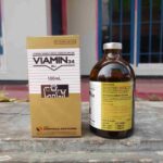 VIAMIN 100 ML - Vitamin Asam Amino Pelengkap Untuk Pemulihan Hewan Ternak.