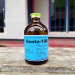 GENTA 100 ML - Mengobati Infeksi Saluran Pernafasan, Pencernaan Dan Saluran Urinasi Hewan Ternak.
