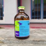 GENTA 100 ML - Mengobati Infeksi Saluran Pernafasan, Pencernaan Dan Saluran Urinasi Hewan Ternak.