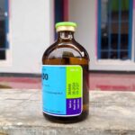 GENTA 100 ML - Mengobati Infeksi Saluran Pernafasan, Pencernaan Dan Saluran Urinasi Hewan Ternak.