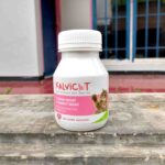 KALVICAT 150 TABLET BY KALBE - Multivitamin A, D3, E B1, B2, B3, B6, B12, Omega 3 & 6 Untuk Kucing.