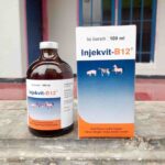 INJEKVIT B12 100 ML BY MEDION - Untuk Pertumbuhan, Selera Malkan, Anemia Dan Radang Pada Kulit Hewan Ternak.
