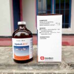 INJEKVIT B12 100 ML BY MEDION - Untuk Pertumbuhan, Selera Malkan, Anemia Dan Radang Pada Kulit Hewan Ternak.