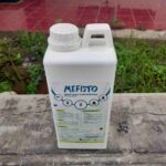 MEFISTO 1 LITER BY KALBE - Desinfektan Dan Insektisida Basmi Virus, Bakteri, Kutu Serta Lingkungan.