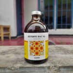 JECTAVIT B12 100 ML BY SANBE - Vitamin B12 Meningkatkan Dan Memulihkan Stamina Semua Hewan.
