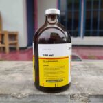 JECTAVIT B12 100 ML BY SANBE - Vitamin B12 Meningkatkan Dan Memulihkan Stamina Semua Hewan.