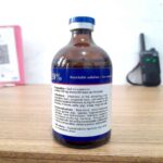 AMOXY 20 PERSEN 100 ML BY GLOBE VET - Untuk Hewan Ternak, Unggas Dan Peliharaan.