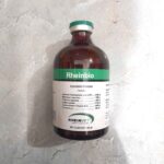 RHEINBIO 100 ML - Vitamin Untuk Mengembalikan Energi Pada Hewan Ternak