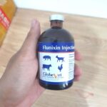 FLUNIXIN 100 ML BY GLOBE VET - Untuk Atasi Nyeri, Meriang, dan Radang Pada Ternak Sapi Kuda Kambing Domba