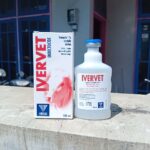 IVERVET 100 ML- Mengatasi Gudik, Endo, Kutu, Cacingan Dan Scabies Hewan.