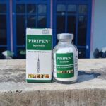 PIRIPEN 5,5 GRAM - Pen N Strep Serbuk - Campur Dengan B Plex OR Aqwadest.