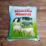 MAMALIA MINERAL 1 KG BY USFA - Mineral Menguatkan,  Memperlancar & Memperbanyak Susu.