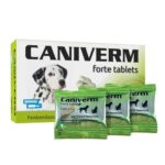 CANIVERM FORTE 1 TABLET BIOVETA - Untuk Masalah Cacingan Pada Hewan Peliharaan Kucing dan Anjing.