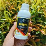 VGT NUTRISI UNGGAS 250 ML - Nutrisi Lengkap Berkualitas Untuk Petumbuhan Unggas.