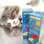 VITA PLUS 30 ML - Vitamin Nafsu Makan Anjing, Kucing Dan Unggas.