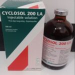 CYCLOSOL 200 LA INJECTABLE SOLUTION - Infeksi Pernapasan, Saluran Urinaria Hewan Ternak.