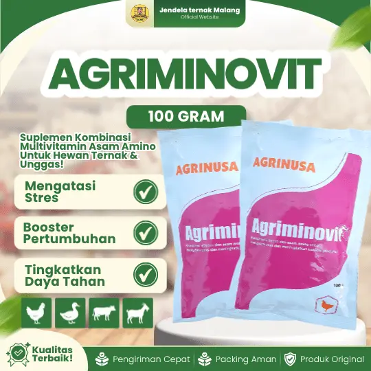 ISI 10 AGRIMINOVIT 100 GRAM BY AGRINUSA LEBIH MURAH – Multivitamin & Asam Amino Untuk Hewan Ternak