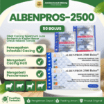 ALBENPROS 2500 BOLUS 1 BOX (50 BOLUS) - Untuk Masalah Cacing Pada Hewan Ternak Sapi Sapi Rasa Blueberry
