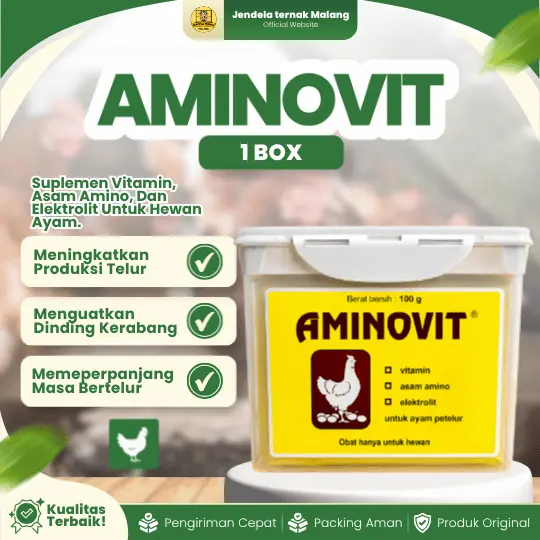 AMINOVIT 100 GRAM 1 BOX (10 SACHET) – Vitamin Untuk Meningkatkan Produksi Telur Pada Ayam Unggas