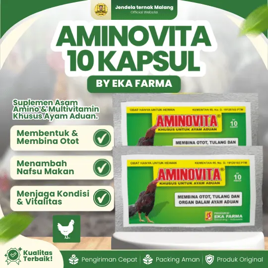 AMINOVITA 10 KAPSUL – Cocok Untuk Penguat Otot Tulang Ayam Petarung by EKA FARMA.