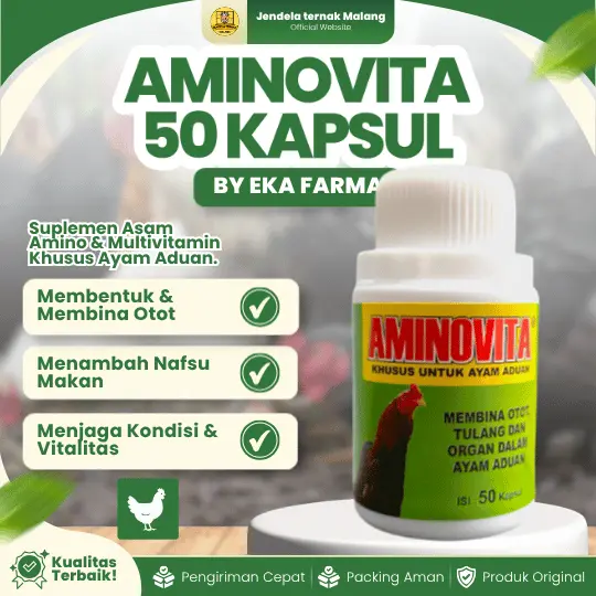 AMINOVITA 50 KAPSUL EKA FARMA – Untuk Penguat Otot Tulang & Meningkatkan Kesehatan Ayam