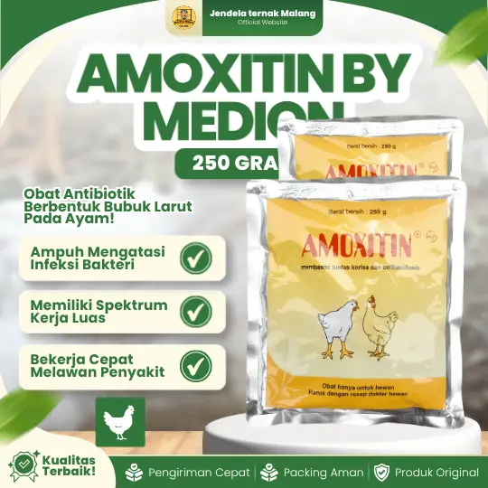 AMOXITIN 250 GRAM BY MEDION – Untuk Ayam Mengatasi Korisa, Pencernaan Dll.