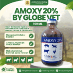 AMOXY 20 PERSEN 100 ML BY GLOBE VET - Untuk Hewan Ternak, Unggas Dan Peliharaan.