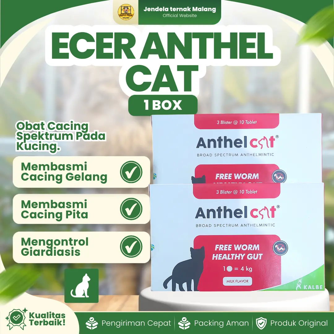 ANTHEL CAT 1 BOX (30 TABLET) – Untuk Mencegah Masalah Cacing Pada Kucing