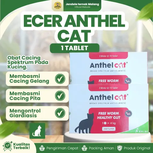 ECER ANTHEL CAT 1 TABLET (Blister) – Untuk Masalah Cacing Spektrum Luas Untuk KUCING by KALBE.