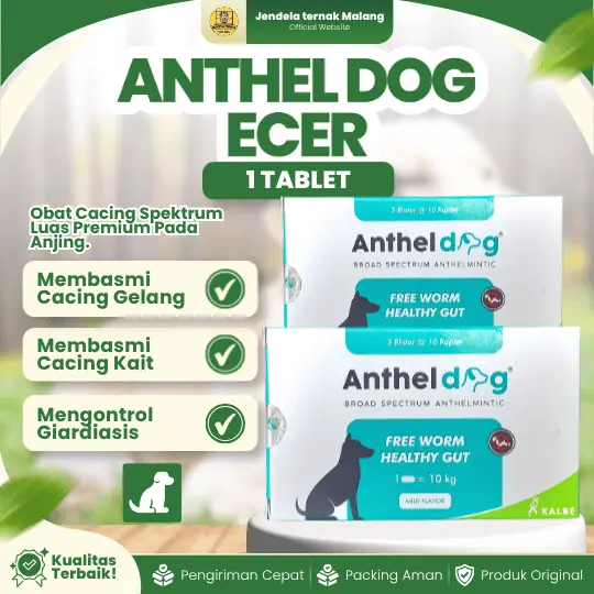 ECER ANTHEL DOG ECER 1 TABLET – Untuk Masalah Cacing Pada Doggy Anjing By Kalbe