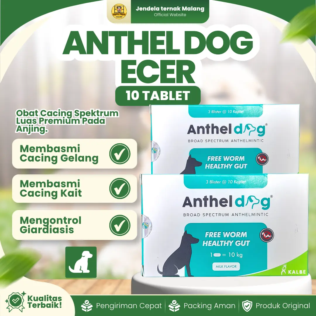 ANTHEL DOG 10 TABLET (1 STRIP) – Untuk Masalah Cacing Pada Doggy Anjing By Kalbe