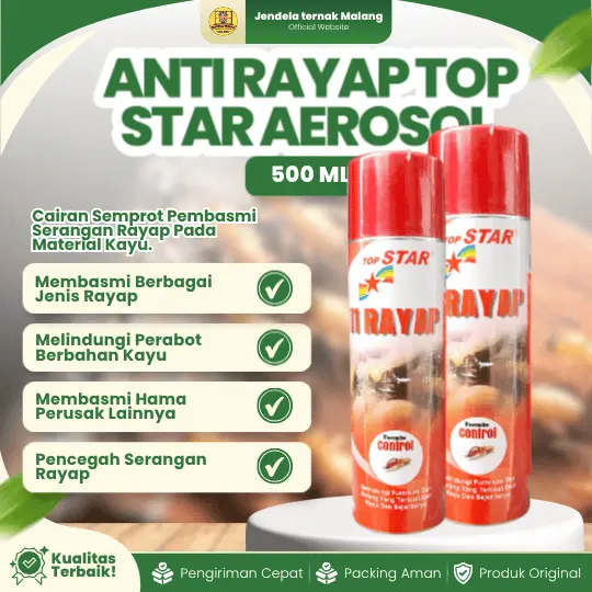 ANTI RAYAP TOP STAR AEROSOL 500 ML – Ampuh Membunuh Rayap Dan Melindungi Kayu.