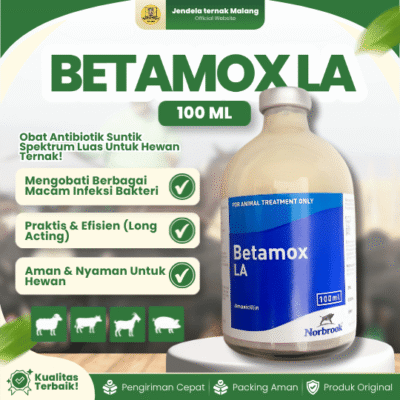 BETAMOX LA 100 ML –  Antibiotik Untuk Pencernaan Pada Hewan Ternak.