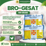 BRO-GESAT 100 GRAM – Multivitamin, Mineral Dan Asam Amino Untuk Pertumbuhan Unggas.