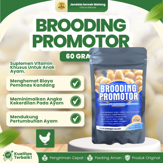 BROODING PROMOTOR 60 GRAM - Suplemen Vitamin Masa Brooding Broiler / Ayam Pedaging.
