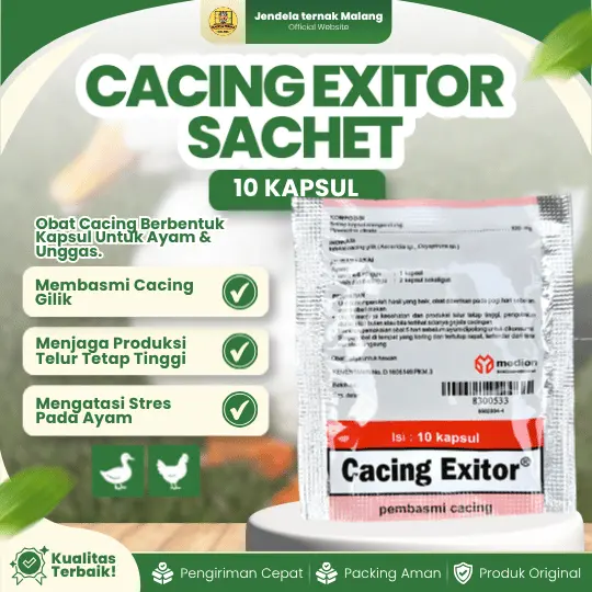 CACING EXITOR SACHET 10 KAPSUL – Untuk Membasmi Cacing pada Ayam, Bebek Dan Unggas Lainnya.