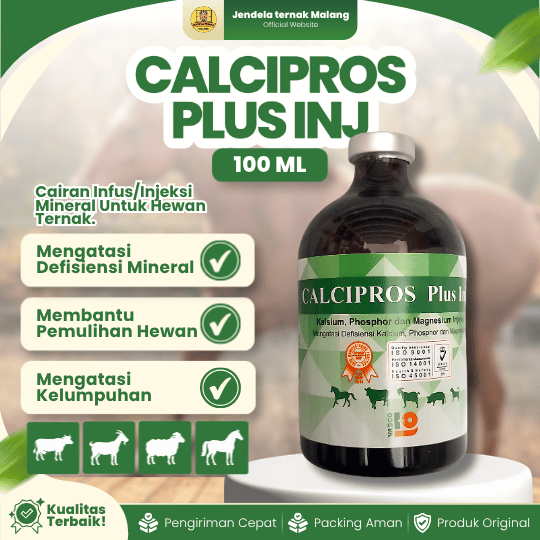 CALCIPROS PLUS INJ 100 ML - Untuk Hewan Ambruk, Lumpuh, Kekurangan Kalsium Magnesium Dan Phosphor.