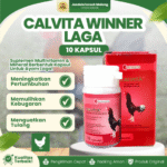 WINNER CALVITA 1 BOTOL (ISI 10 KAPSUL) BY MEDION – Atasi Ayam Lumpuh & Tulang Kuat Laga.