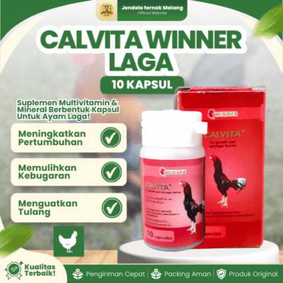 WINNER CALVITA 1 BOTOL (ISI 10 KAPSUL) BY MEDION – Atasi Ayam Lumpuh & Tulang Kuat Laga.