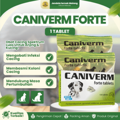 CANIVERM FORTE 1 TABLET BIOVETA – Untuk Masalah Cacingan Pada Hewan Peliharaan Kucing dan Anjing.