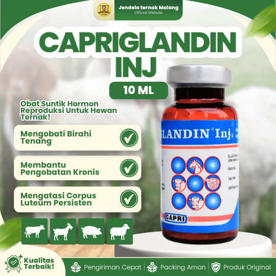 CAPRIGLANDIN INJ 10 ML - Hormon Sinkronisasi Estrus Hewan Ternak.