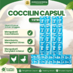 COCCILIN CAPSUL 1 STRIP ISI 10 KAPSUL BY WONDER – Anti Ngorok , CRD, Pilek, Snot Untuk Hewan.