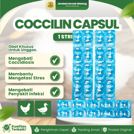 COCCILIN CAPSUL 1 STRIP ISI 10 KAPSUL BY WONDER - Anti Ngorok , CRD, Pilek, Snot Untuk Hewan.